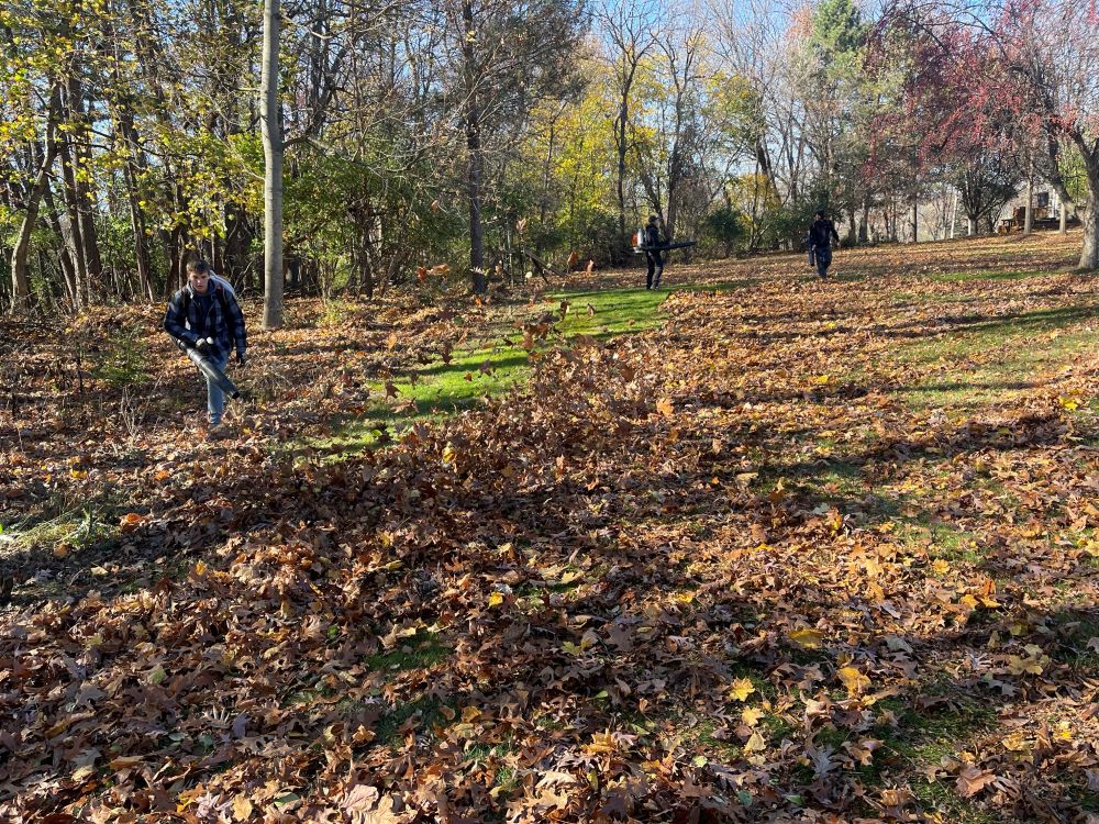 Cleanup crew blowing leaves into a pile