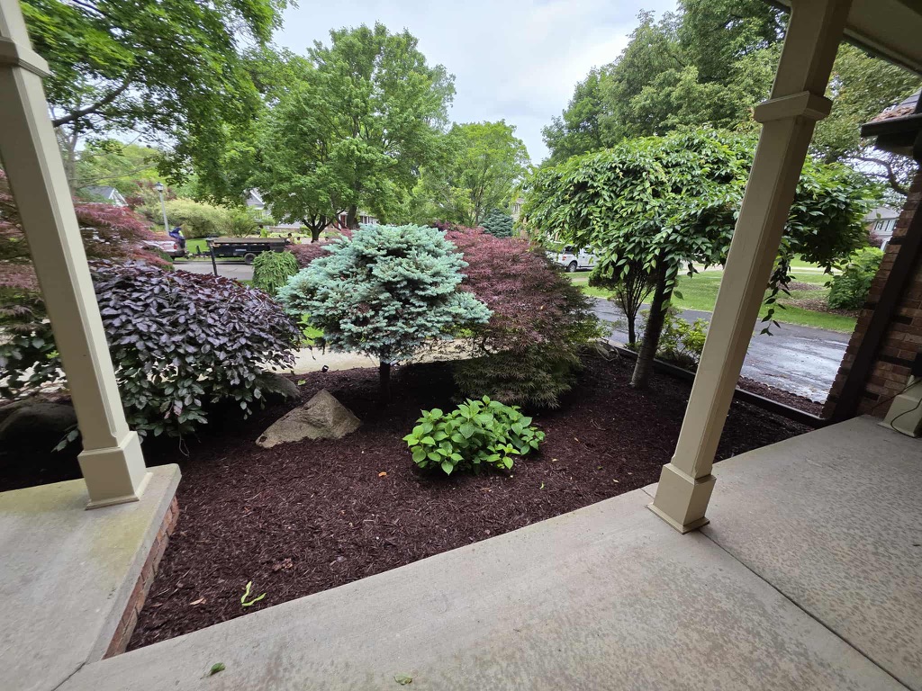 landscaping 3